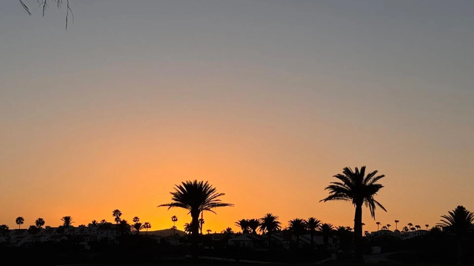 Cozy Wild Lägenhet Los Cristianos  Spanien