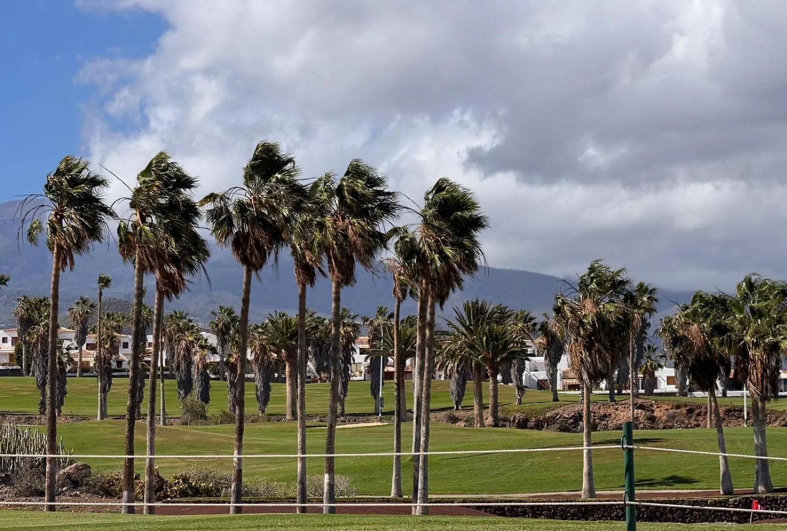 Cozy Wild Lägenhet Los Cristianos   Los Cristianos (Tenerife)