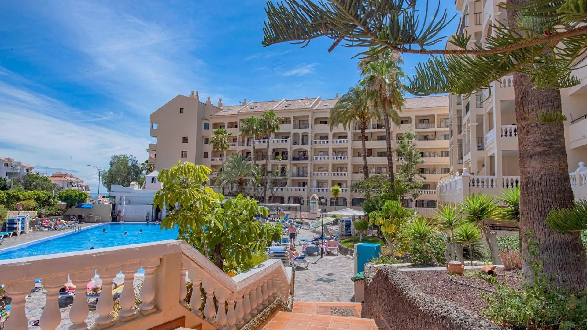 Cozy Wild Lägenhet Los Cristianos