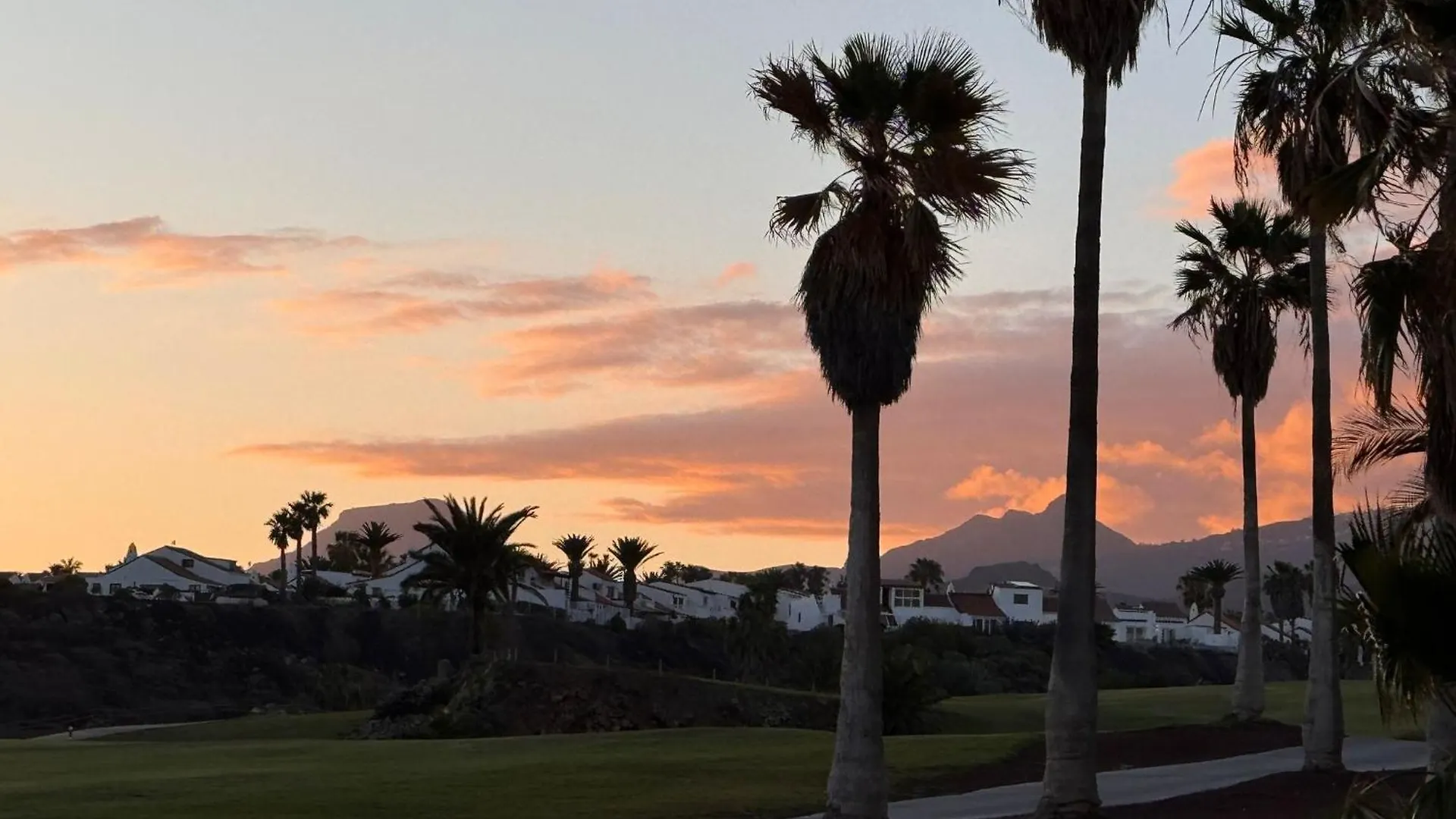 Cozy Wild Apartman Los Cristianos